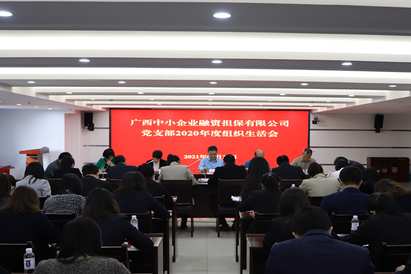 廣西中小企業(yè)融資擔保有限公司黨支部召開2020年度組織生活會