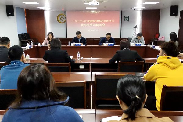 中小擔保領導赴北海、防城港調(diào)研 